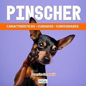 Pinscher: Características, cuidados, curiosidades Pinscher-Caracteristicas-cuidados-curiosidades