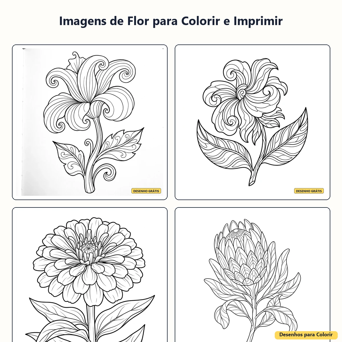 Imagens de Flor para Colorir e Imprimir: Modelos Encantadores
