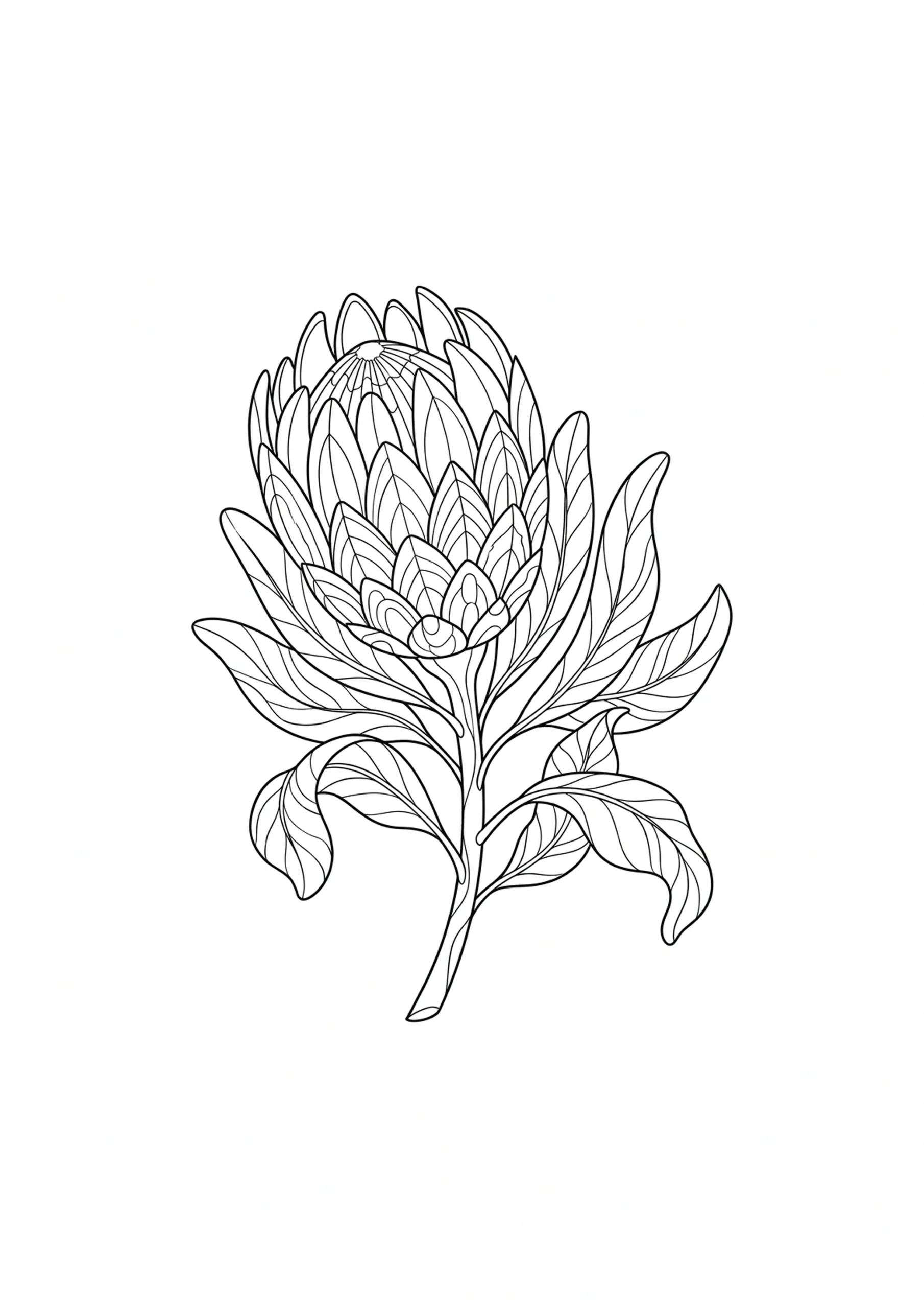 imagens de flor para colorir e imprimir 4