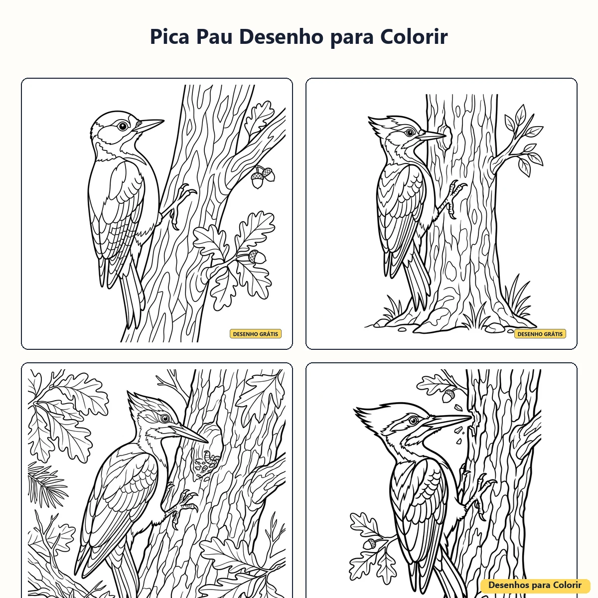 Pica-Pau Desenho para Colorir: atividades divertidas para imprimir